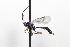  ( - CollHH3427)  @11 [ ] Creative Commons  Attribution Non-Commercial Share-Alike (2022) Hakon Haraldseide Unspecified