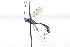  ( - CollHH3440)  @11 [ ] Creative Commons  Attribution Non-Commercial Share-Alike (2022) Hakon Haraldseide Unspecified