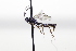  ( - CollHH3441)  @11 [ ] Creative Commons  Attribution Non-Commercial Share-Alike (2022) Hakon Haraldseide Unspecified