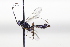  ( - CollHH3443)  @11 [ ] Creative Commons  Attribution Non-Commercial Share-Alike (2022) Hakon Haraldseide Unspecified