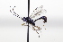  ( - CollHH3444)  @11 [ ] Creative Commons  Attribution Non-Commercial Share-Alike (2022) Hakon Haraldseide Unspecified