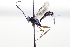  ( - CollHH3445)  @11 [ ] Creative Commons  Attribution Non-Commercial Share-Alike (2022) Hakon Haraldseide Unspecified