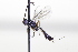  ( - CollHH3446)  @11 [ ] Creative Commons  Attribution Non-Commercial Share-Alike (2022) Hakon Haraldseide Unspecified