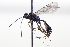  ( - CollHH3447)  @11 [ ] Creative Commons  Attribution Non-Commercial Share-Alike (2022) Hakon Haraldseide Unspecified