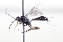  ( - CollHH3448)  @11 [ ] Creative Commons  Attribution Non-Commercial Share-Alike (2022) Hakon Haraldseide Unspecified