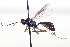  ( - CollHH3449)  @11 [ ] Creative Commons  Attribution Non-Commercial Share-Alike (2022) Hakon Haraldseide Unspecified