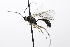  ( - CollHH3469)  @11 [ ] Creative Commons  Attribution Non-Commercial Share-Alike (2022) Hakon Haraldseide Unspecified