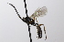  ( - CollHH3479)  @11 [ ] Creative Commons  Attribution Non-Commercial Share-Alike (2022) Hakon Haraldseide Unspecified