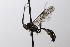  ( - CollHH3485)  @11 [ ] Creative Commons  Attribution Non-Commercial Share-Alike (2022) Hakon Haraldseide Unspecified