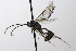  ( - CollHH3486)  @11 [ ] Creative Commons  Attribution Non-Commercial Share-Alike (2022) Hakon Haraldseide Unspecified