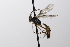  ( - CollHH3490)  @11 [ ] Creative Commons  Attribution Non-Commercial Share-Alike (2022) Hakon Haraldseide Unspecified