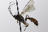  ( - CollHH3492)  @11 [ ] Creative Commons  Attribution Non-Commercial Share-Alike (2022) Hakon Haraldseide Unspecified
