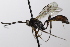  ( - CollHH3494)  @11 [ ] Creative Commons  Attribution Non-Commercial Share-Alike (2022) Hakon Haraldseide Unspecified