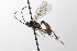  ( - CollHH3495)  @11 [ ] Creative Commons  Attribution Non-Commercial Share-Alike (2022) Hakon Haraldseide Unspecified