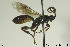  ( - CollHH350)  @13 [ ] Creative Commons  Attribution Non-Commercial Share-Alike (2018) Hakon Haraldseide Unspecified