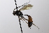  ( - CollHH3507)  @11 [ ] Creative Commons  Attribution Non-Commercial Share-Alike (2022) Hakon Haraldseide Unspecified