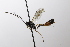  ( - CollHH3508)  @11 [ ] Creative Commons  Attribution Non-Commercial Share-Alike (2022) Hakon Haraldseide Unspecified