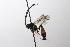  ( - CollHH3510)  @11 [ ] Creative Commons  Attribution Non-Commercial Share-Alike (2022) Hakon Haraldseide Unspecified