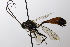  ( - CollHH3512)  @11 [ ] Creative Commons  Attribution Non-Commercial Share-Alike (2022) Hakon Haraldseide Unspecified