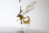  ( - CollHH3900)  @11 [ ] Creative Commons  Attribution Non-Commercial Share-Alike (2023) Hakon Haraldseide Unspecified