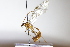  ( - CollHH3901)  @11 [ ] Creative Commons  Attribution Non-Commercial Share-Alike (2023) Hakon Haraldseide Unspecified