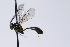  ( - CollHH3907)  @11 [ ] Creative Commons  Attribution Non-Commercial Share-Alike (2023) Hakon Haraldseide Unspecified