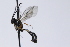  ( - CollHH3908)  @11 [ ] Creative Commons  Attribution Non-Commercial Share-Alike (2023) Hakon Haraldseide Unspecified