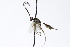  (Javra - CollHH3916)  @11 [ ] Creative Commons  Attribution Non-Commercial Share-Alike (2023) Hakon Haraldseide Unspecified