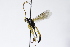  ( - CollHH3929)  @11 [ ] Creative Commons  Attribution Non-Commercial Share-Alike (2023) Hakon Haraldseide Unspecified