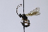 ( - CollHH3930)  @11 [ ] Creative Commons  Attribution Non-Commercial Share-Alike (2023) Hakon Haraldseide Unspecified