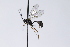  ( - CollHH3932)  @11 [ ] Creative Commons  Attribution Non-Commercial Share-Alike (2023) Hakon Haraldseide Unspecified