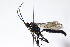  ( - CollHH3938)  @11 [ ] Creative Commons  Attribution Non-Commercial Share-Alike (2023) Hakon Haraldseide Unspecified