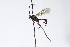  ( - CollHH3965)  @11 [ ] Creative Commons  Attribution Non-Commercial Share-Alike (2023) Hakon Haraldseide Unspecified