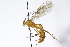  ( - CollHH3981)  @11 [ ] Creative Commons  Attribution Non-Commercial Share-Alike (2023) Hakon Haraldseide Unspecified