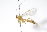  ( - CollHH3983)  @11 [ ] Creative Commons  Attribution Non-Commercial Share-Alike (2023) Hakon Haraldseide Unspecified
