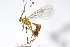  ( - CollHH3984)  @11 [ ] Creative Commons  Attribution Non-Commercial Share-Alike (2023) Hakon Haraldseide Unspecified