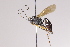  ( - CollHH4038)  @11 [ ] Creative Commons  Attribution Non-Commercial Share-Alike (2025) Hakon Haraldseide Unspecified