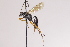  ( - CollHH4039)  @11 [ ] Creative Commons  Attribution Non-Commercial Share-Alike (2025) Hakon Haraldseide Unspecified