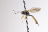  ( - CollHH4080)  @11 [ ] Creative Commons  Attribution Non-Commercial Share-Alike (2025) Hakon Haraldseide Unspecified