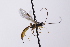  ( - CollHH4091)  @11 [ ] Creative Commons  Attribution Non-Commercial Share-Alike (2024) Hakon Haraldseide Unspecified