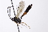  ( - CollHH4104)  @11 [ ] Creative Commons  Attribution Non-Commercial Share-Alike (2024) Hakon Haraldseide Unspecified