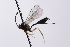  ( - CollHH4114)  @11 [ ] Creative Commons  Attribution Non-Commercial Share-Alike (2024) Hakon Haraldseide Unspecified