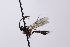  ( - CollHH4115)  @11 [ ] Creative Commons  Attribution Non-Commercial Share-Alike (2024) Hakon Haraldseide Unspecified