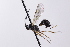  ( - CollHH4123)  @11 [ ] Creative Commons  Attribution Non-Commercial Share-Alike (2024) Hakon Haraldseide Unspecified
