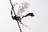  ( - CollHH4136)  @11 [ ] Creative Commons  Attribution Non-Commercial Share-Alike (2024) Hakon Haraldseide Unspecified