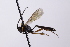  ( - CollHH4180)  @11 [ ] Creative Commons  Attribution Non-Commercial Share-Alike (2024) Hakon Haraldseide Unspecified