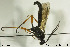  ( - CollHH604)  @12 [ ] Creative Commons  Attribution Non-Commercial Share-Alike (2018) Hakon Haraldseide Unspecified