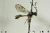  ( - CollHH660)  @12 [ ] Creative Commons  Attribution Non-Commercial Share-Alike (2018) Hakon Haraldseide Unspecified