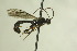  ( - CollHH668)  @12 [ ] Creative Commons  Attribution Non-Commercial Share-Alike (2018) Hakon Haraldseide Unspecified