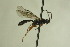  ( - CollHH678)  @12 [ ] Creative Commons  Attribution Non-Commercial Share-Alike (2018) Hakon Haraldseide Unspecified